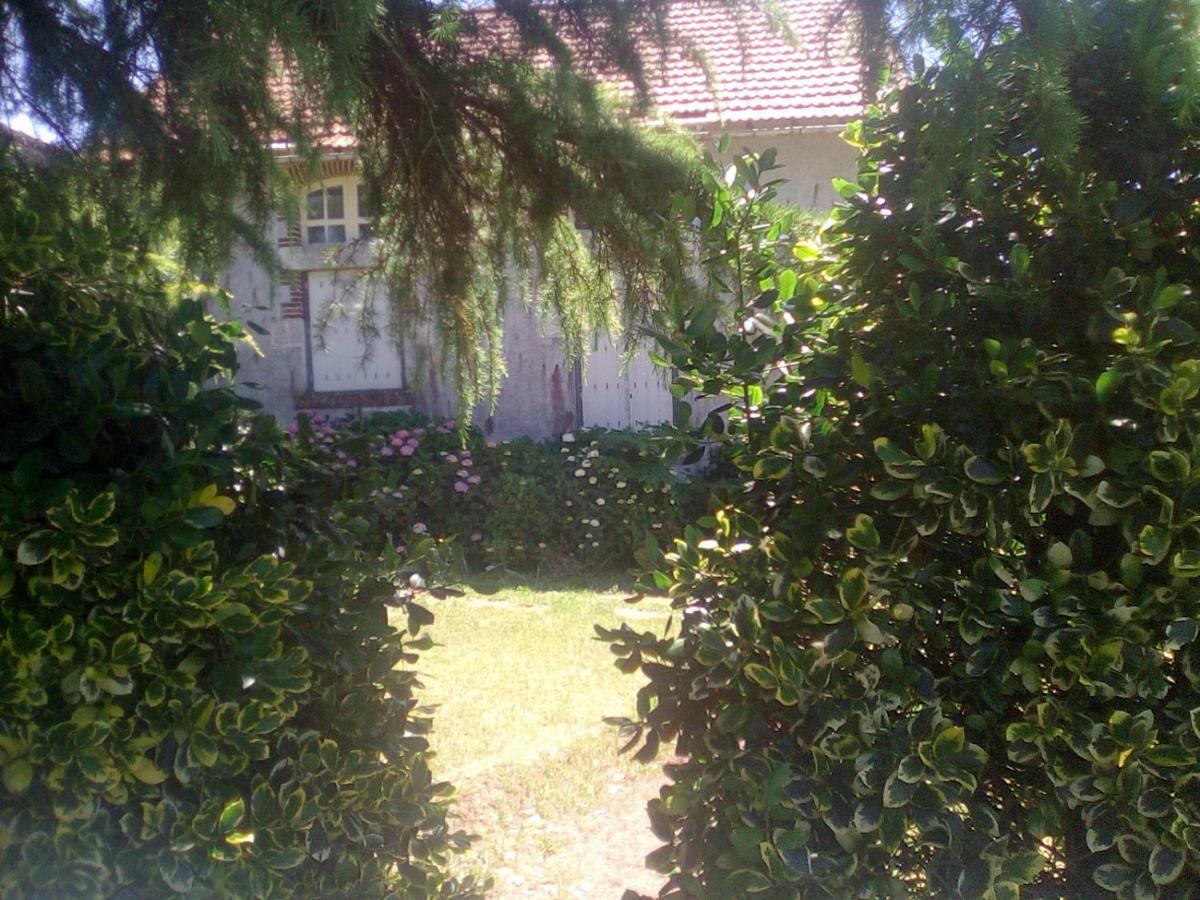 Le Gite De Réaumur Exterior foto